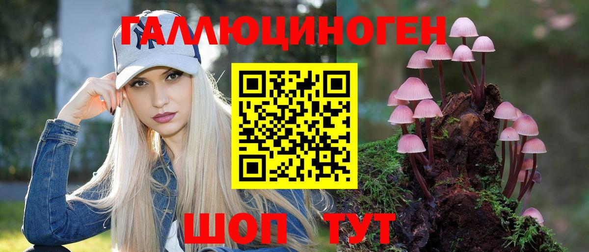 где купить наркотик  Вход с VPN  Галлюциногенные грибы Psilocybine cubensis  Дербент  Галлюциногенные грибы Psilocybine cubensis 